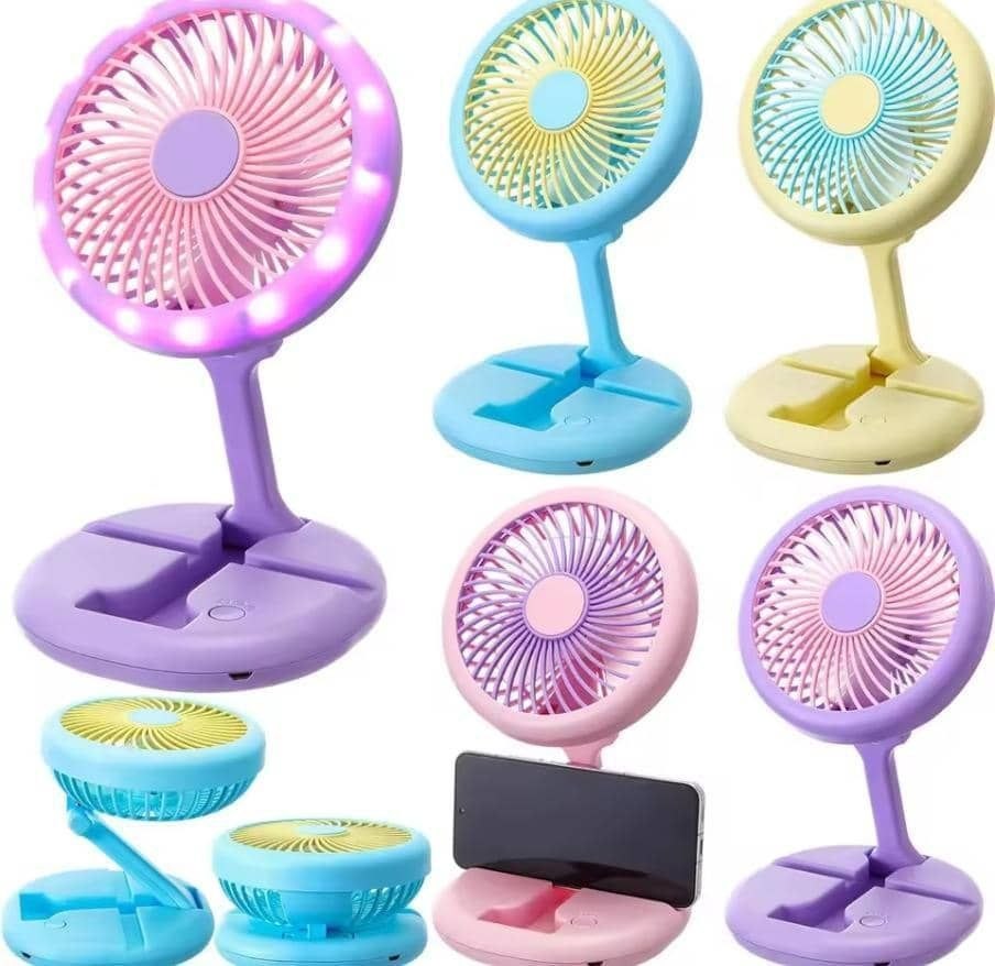 Chargeable fan